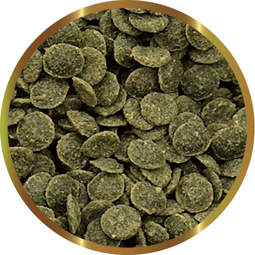 Shg Caridina Greenchips 25gr
