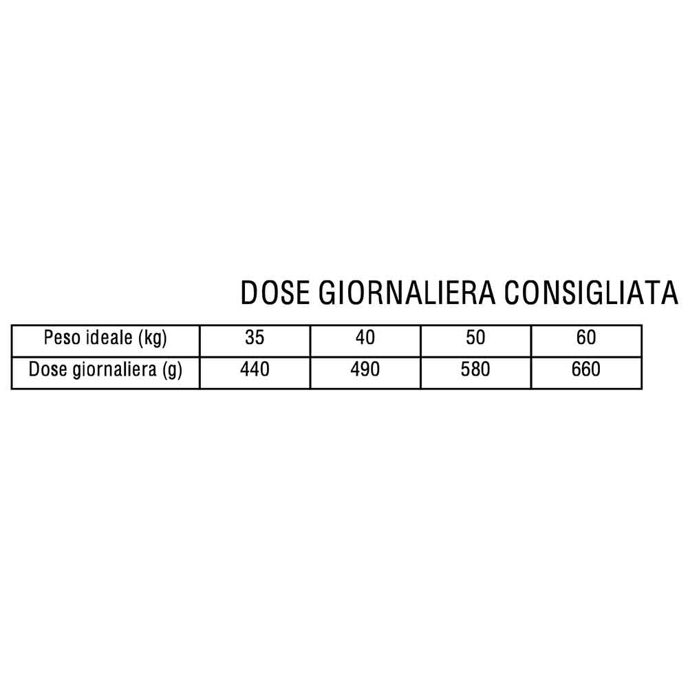 Morando Premium Taglia Grande Crocchette per Cani con Manzo Avena e Piselli 13mm 12Kg