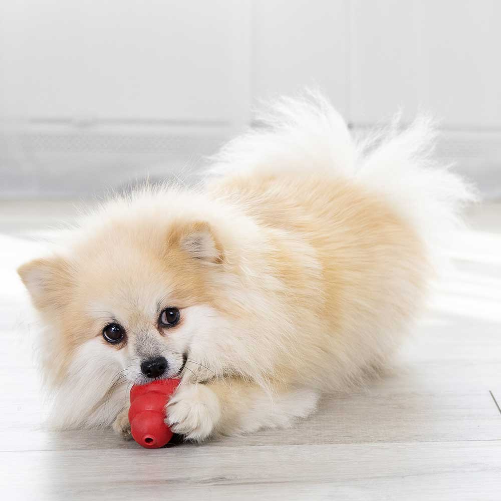 Kong Classic Small Gioco per Cani
