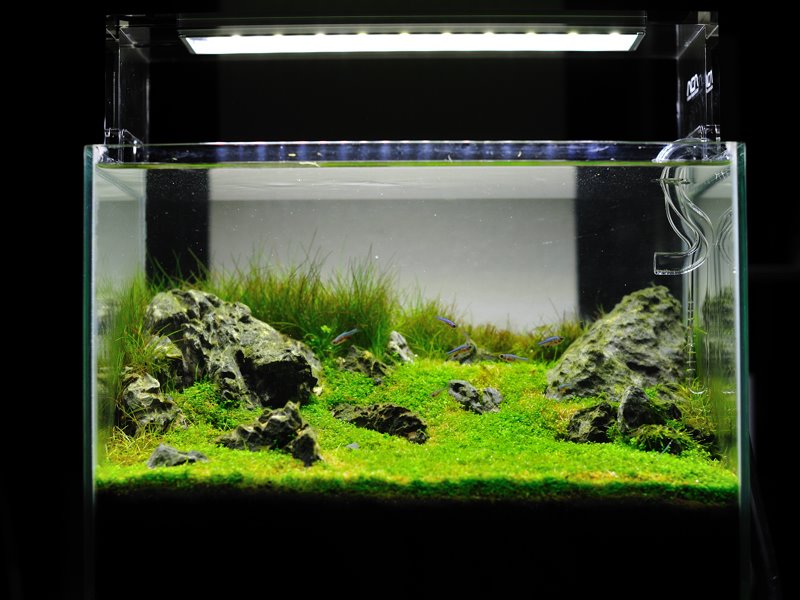 Ada Aquasky 601 Plafoniera a Led per Dolce 7000K° per vasche da 60cm