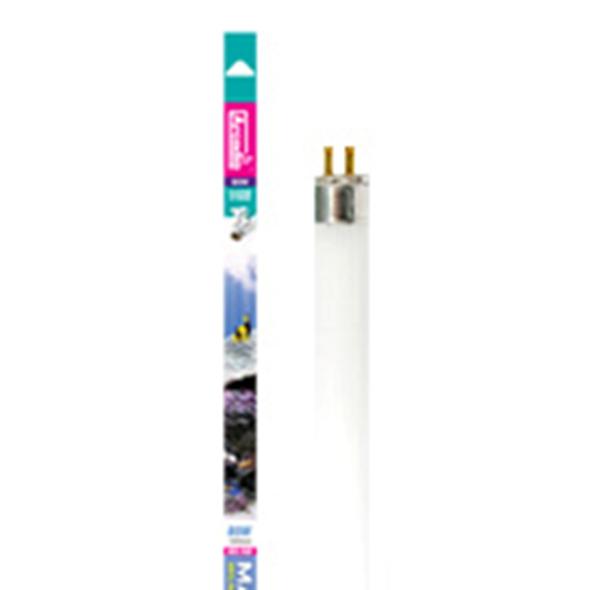 Arcadia Marine Hybrid T5 24W 60cm