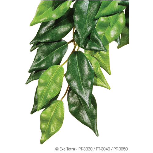 Exoterra Plant Ficus Hanging medium