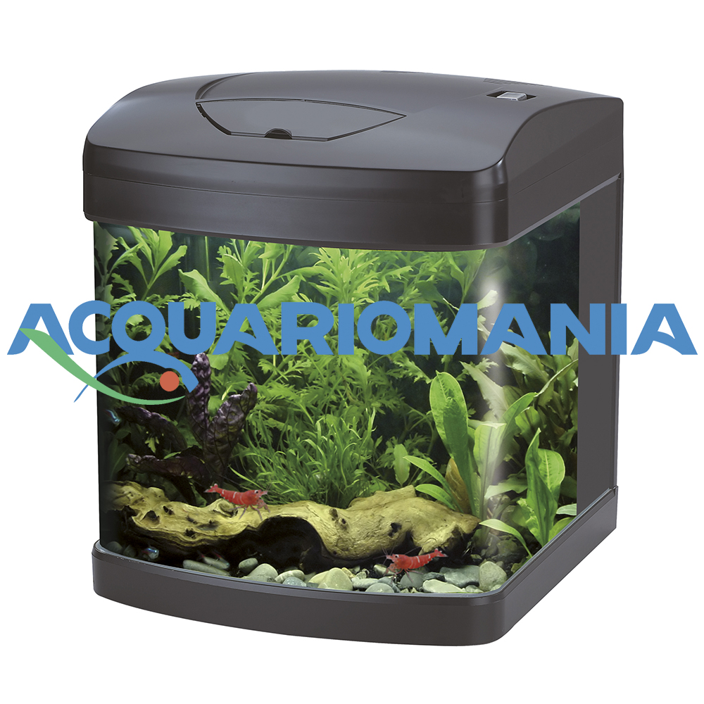 Amtra Acquario Xcube 26 Led completo 26 Litri Nero 31X32X37h cm