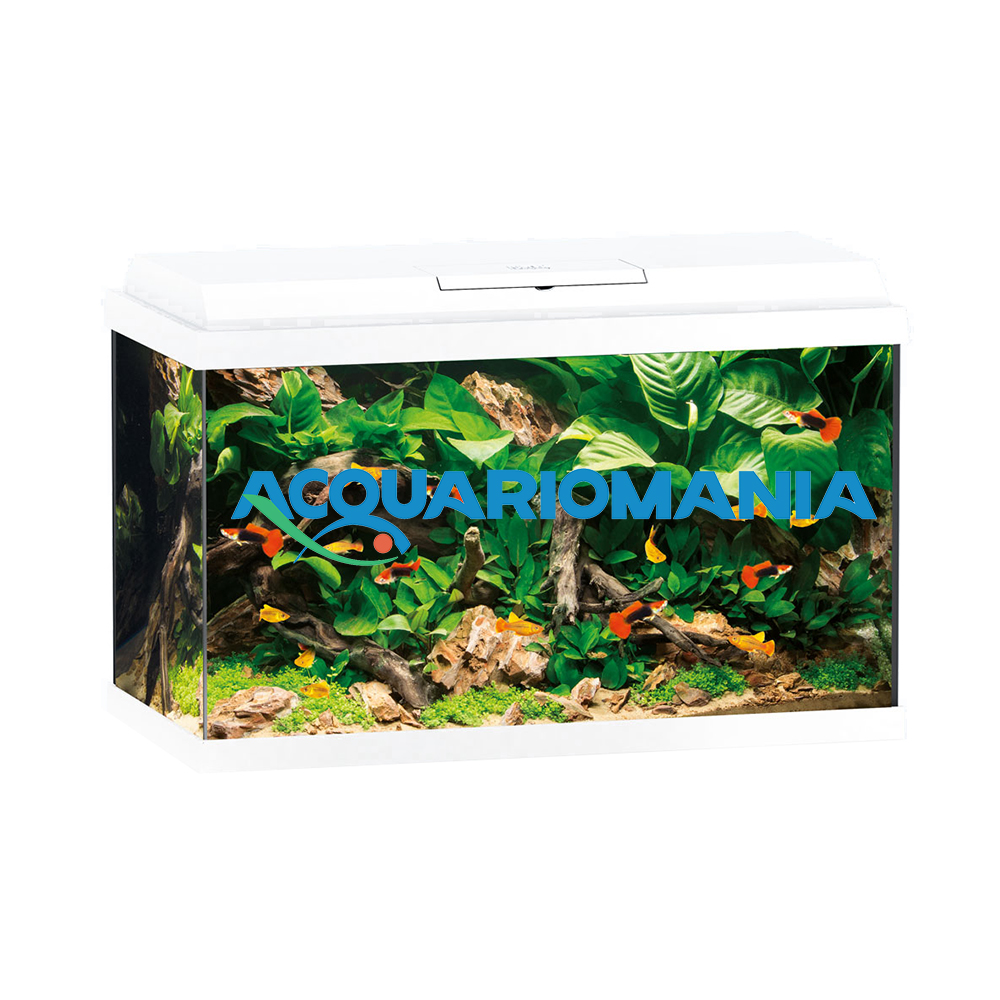 Juwel Acquario Primo 70 Litri Led Bianco mis. 61x31x44H cm