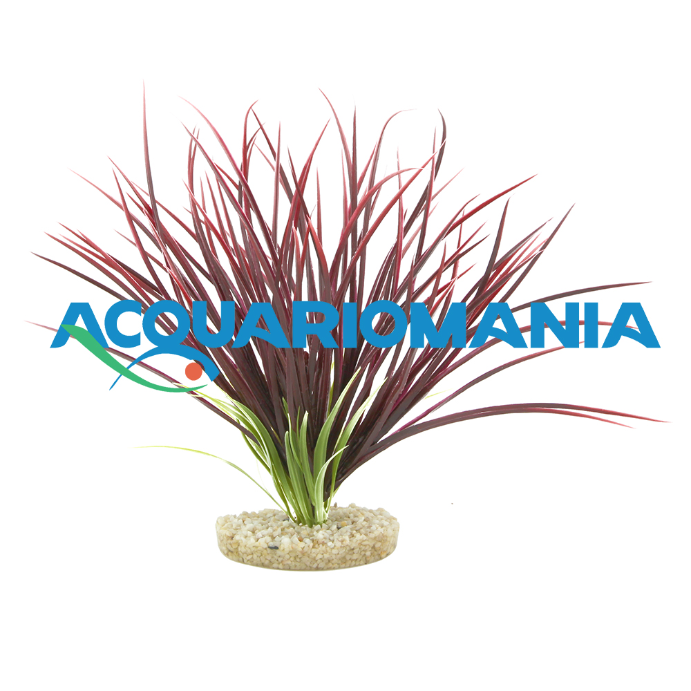 Sydeco Pianta Fan Grass Rossa 35x30x30h cm