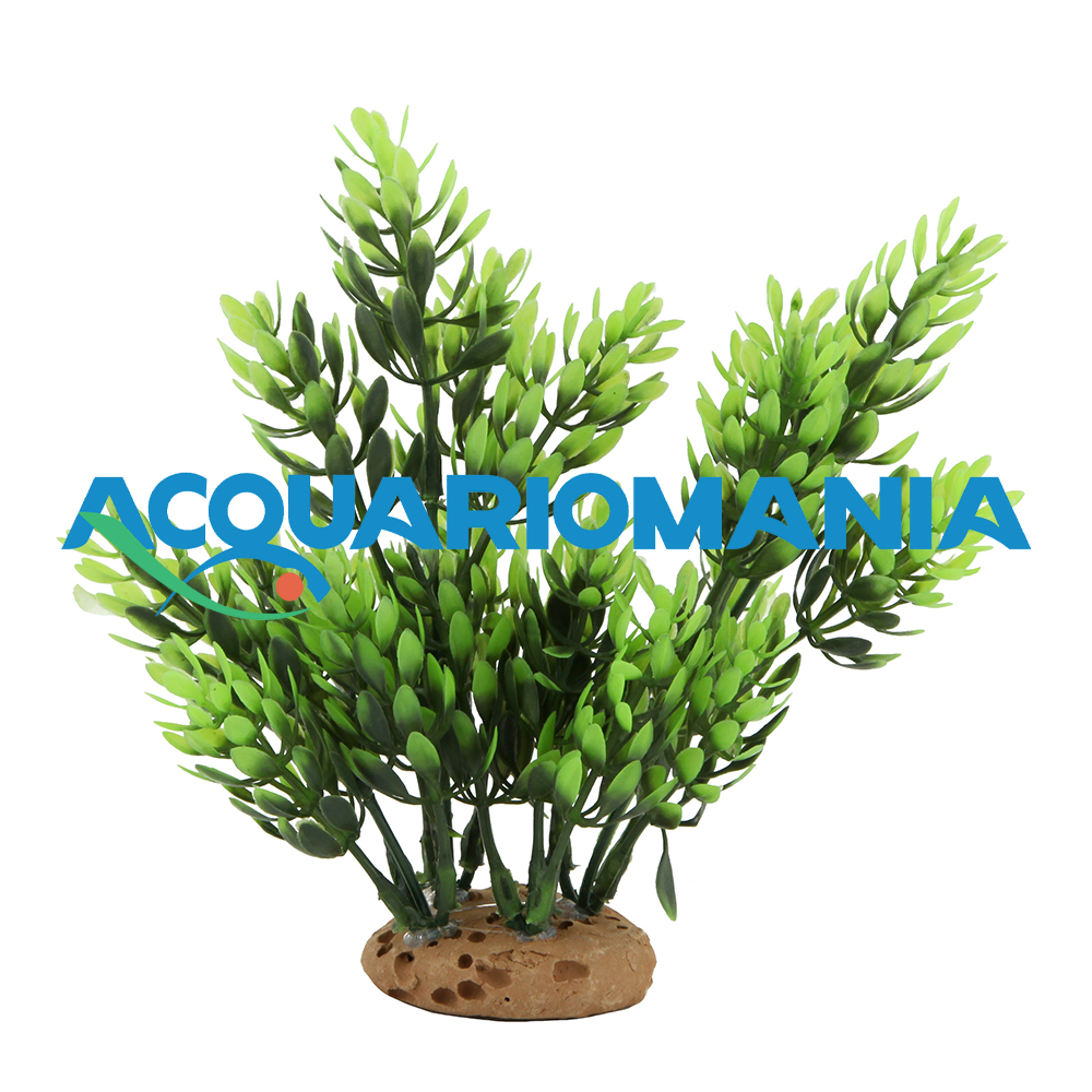 Blu Bios Pianta in plastica Dekor verde vivo 15cm