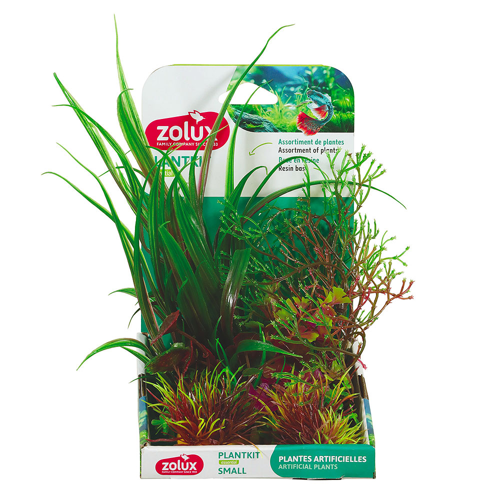 Zolux PlantKit Mix 4 Modello 2 Assortimento piantine in plastica