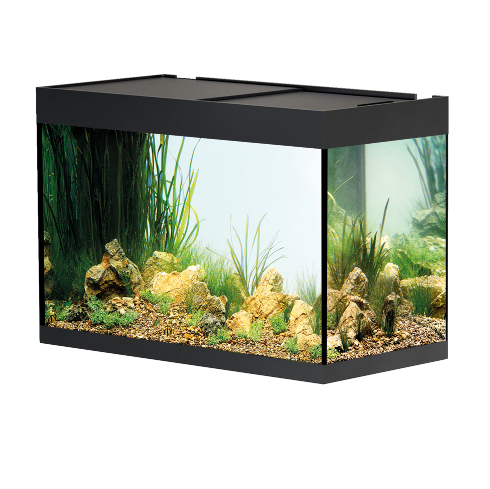Oase Acquario StyleLine 175 Nero 80x40x55h cm 160 litri