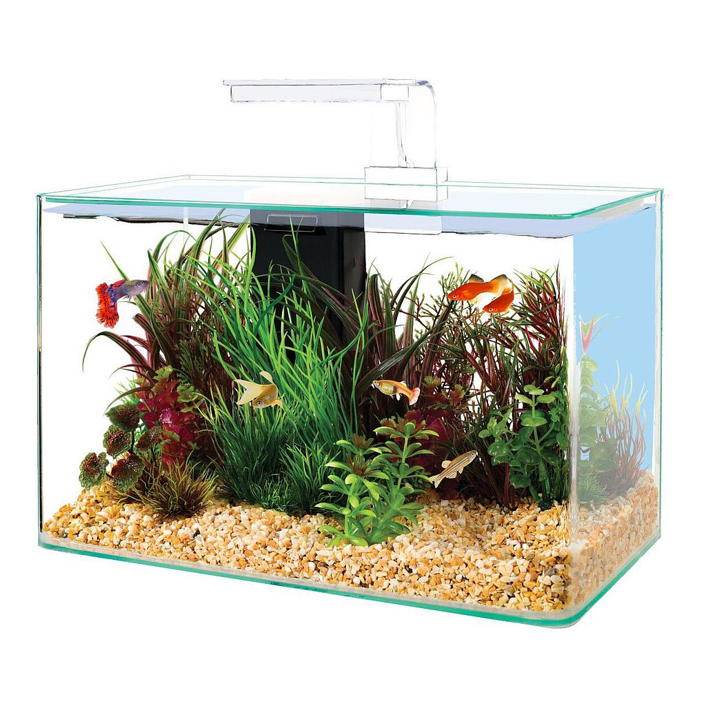 Zolux Acquario Aqua Clear 50 Bianco 50x25x30h cm 32 Litri