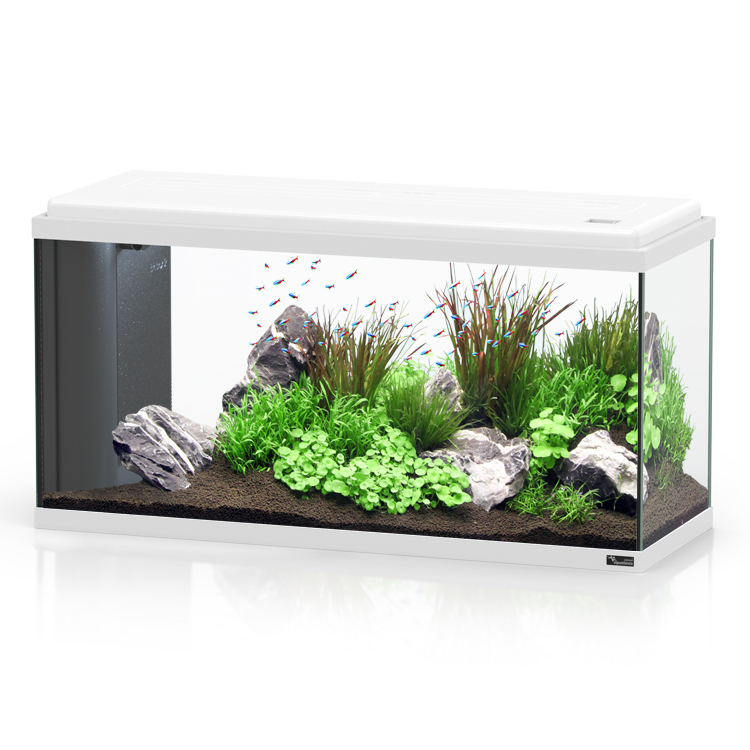 Aquatlantis Aqua 80 Led Bio Acquario 80l Bianco