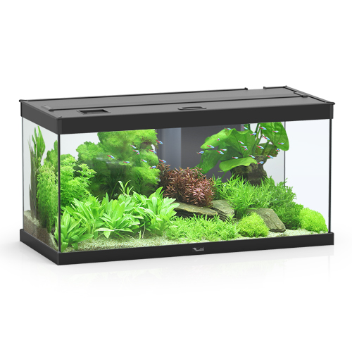 Aquatlantis Style Led 80 Acquario Nero 86l