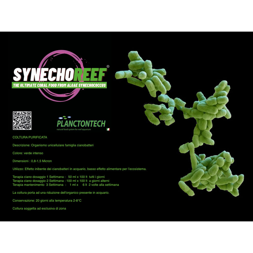 Planctontech Synecho Reef NEW Fitoplancton Vivo contro i Cianobatteri in bottiglietta 1000ml