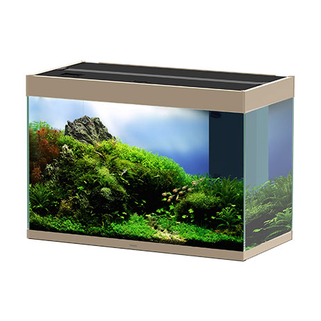 Ciano Aquarium Emotions Pro 80 Mystic Acquario Filtro Interno 81,2x40,2x56h cm 145lt