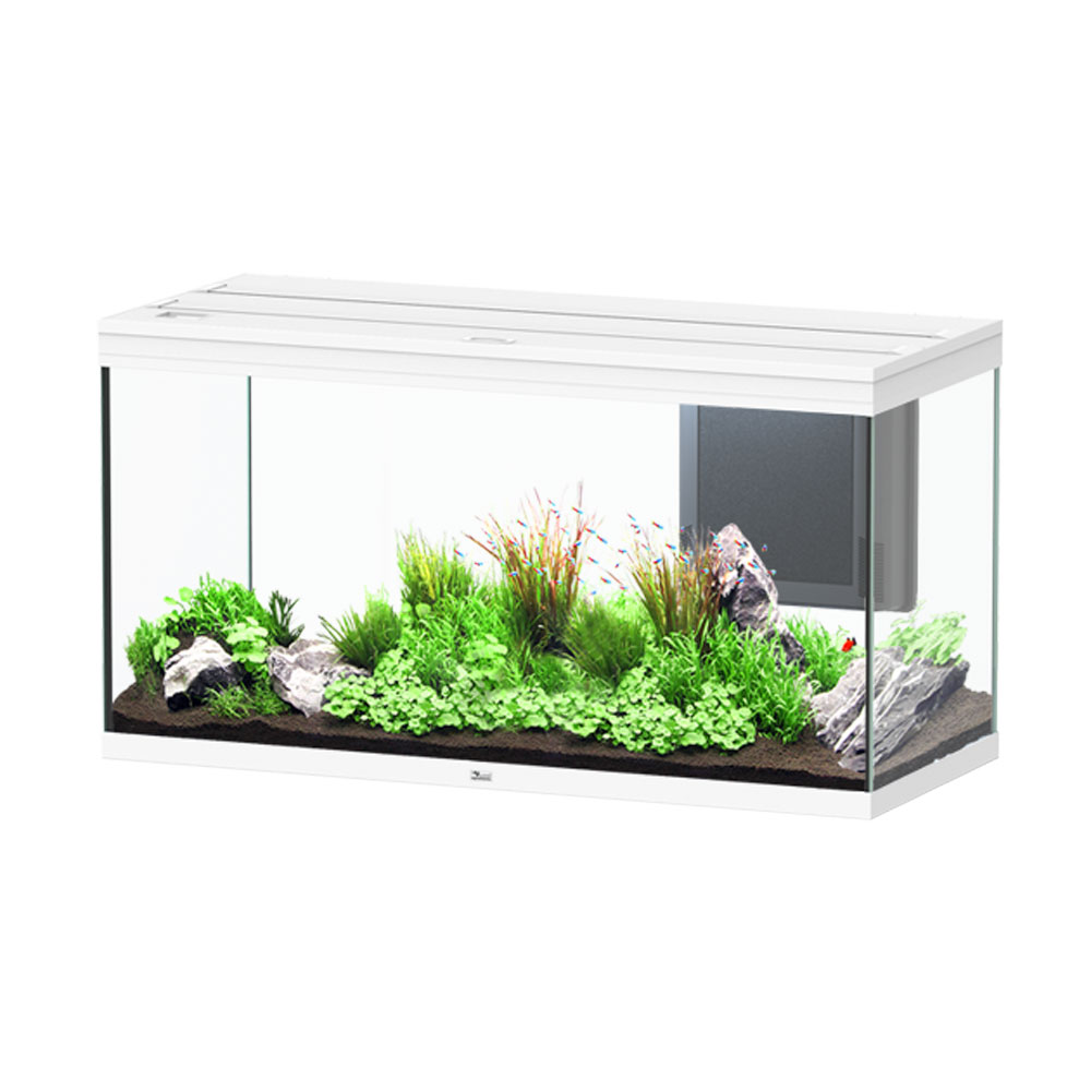 Aquatlantis Volga 350 Acquario Bianco 350 litri