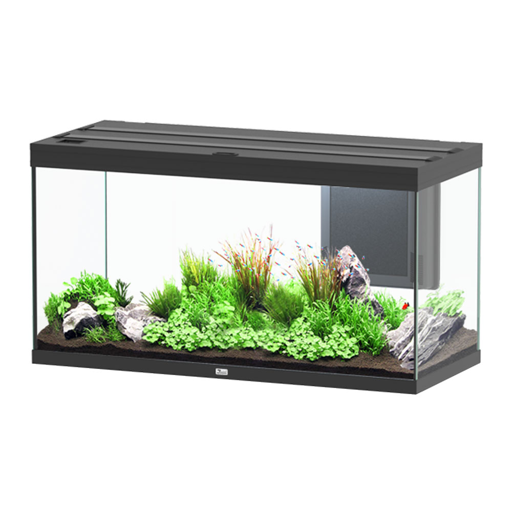 Aquatlantis Volga 350 Acquario Nero 350 litri