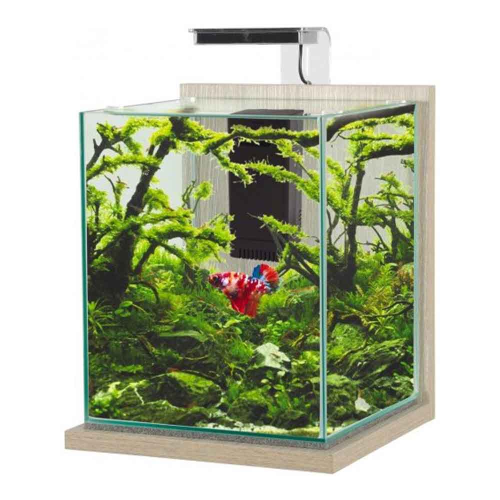 Zolux Jalaya XL Acquario Zebrano grigio 18,7 litri