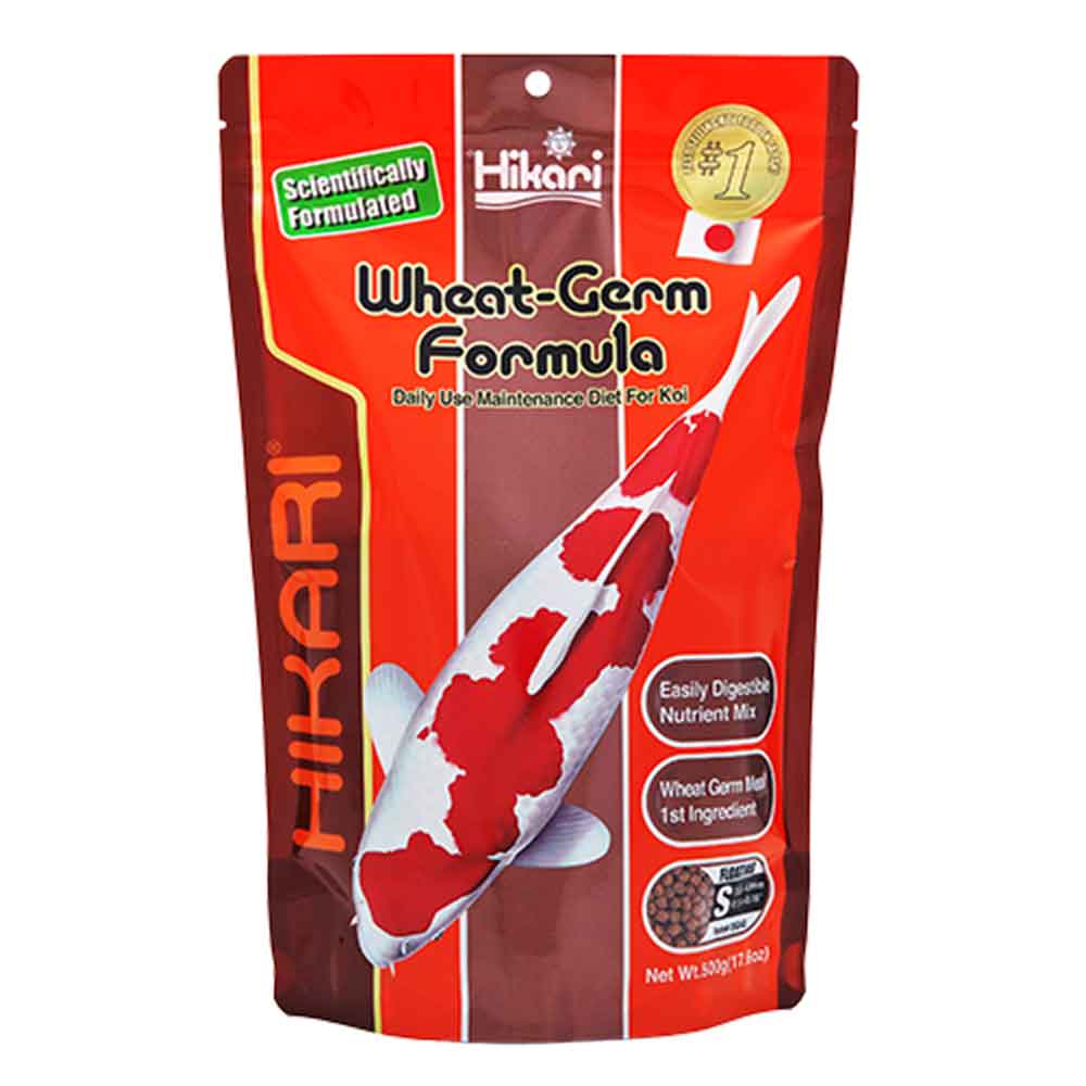 Hikari Wheat-Germ Formula dieta mantenimento per Koi Medium 500gr