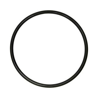 Sicce Oring Guarnizione per Coprigirante Pompa Syncra 3.0