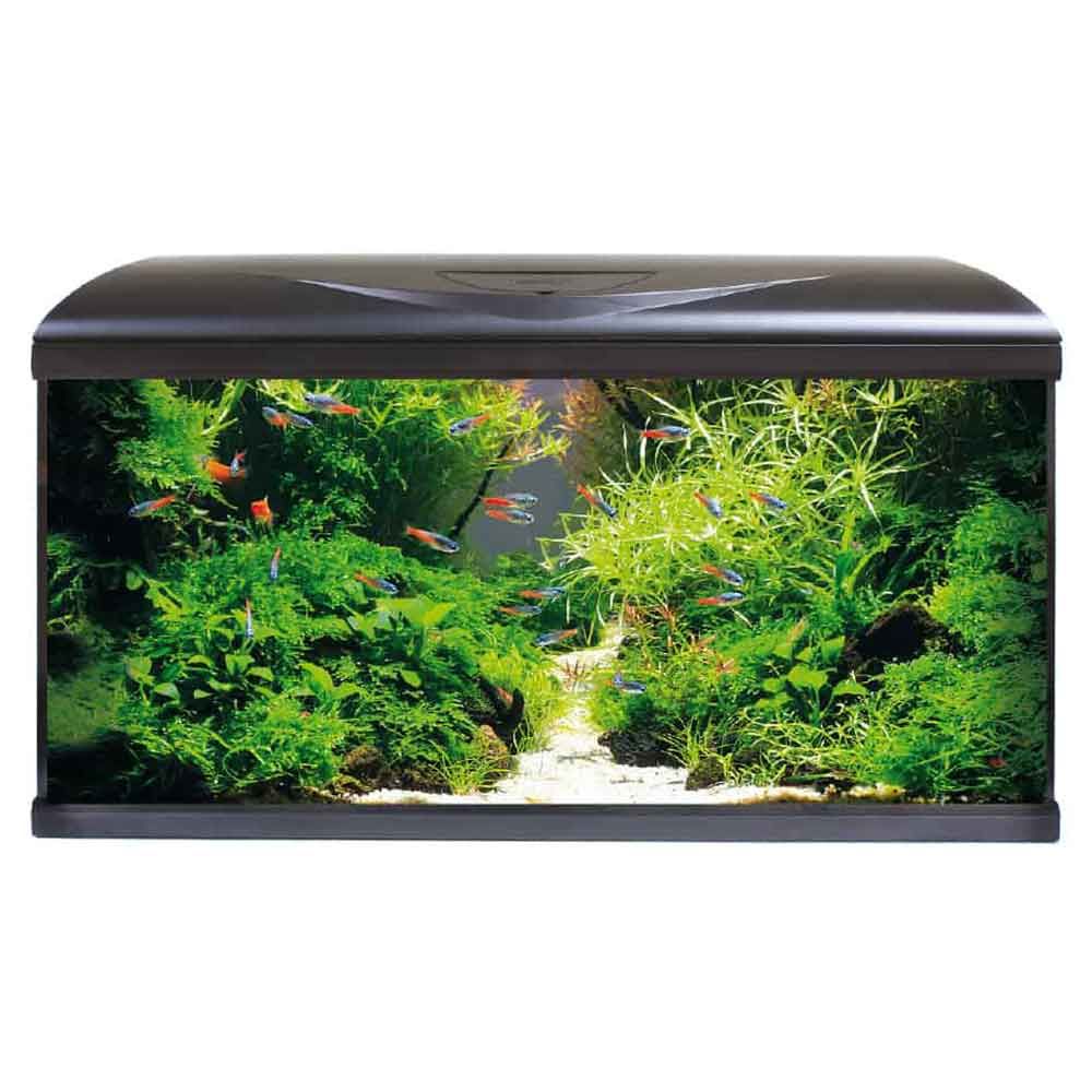 Amtra Acquario System Tank V2 80 Led con Filpo completo Nero 85lt 80x32x48h cm