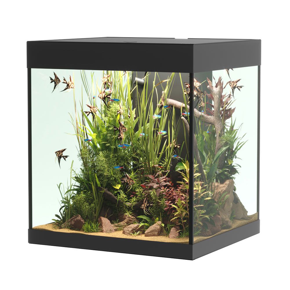 Askoll Opera 80 Acquario completo 80 litri Nero 45x40x50h cm