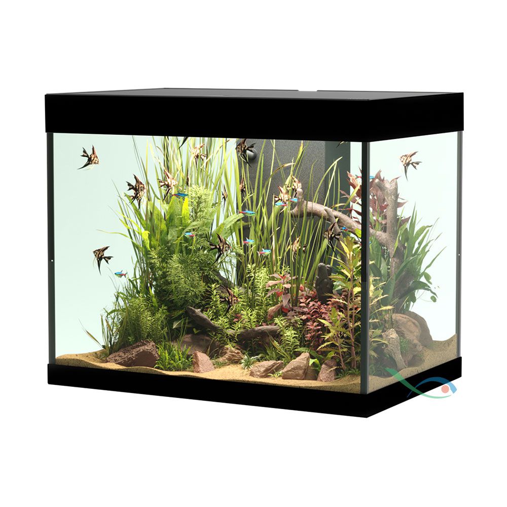 Askoll Opera 110 Acquario completo 110 litri Nero 60x40x50h cm
