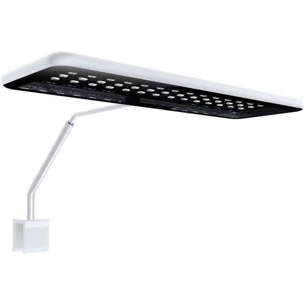 Micmol Aqua CC II Lampada Led Freshwater 30W 25x8x1h cm