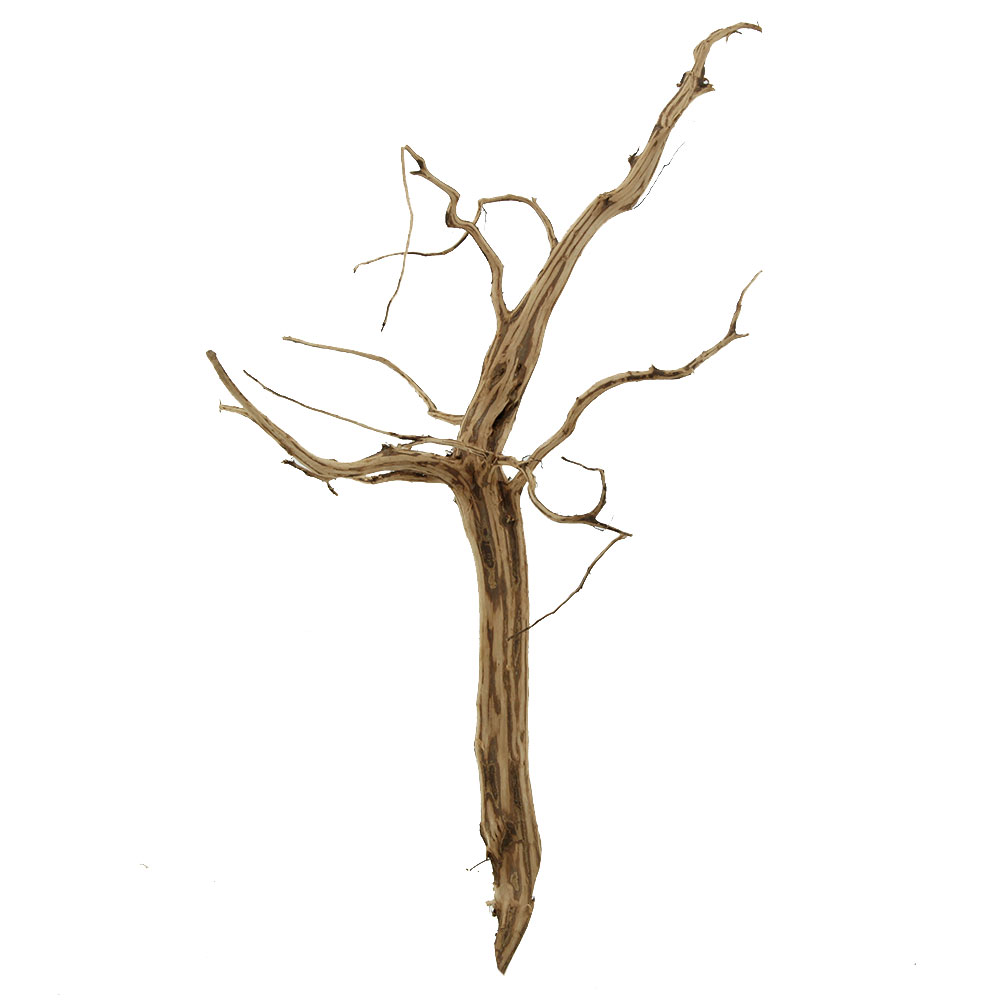 Legno Spider King 305 con foto reale e misure 21x17x35h cm