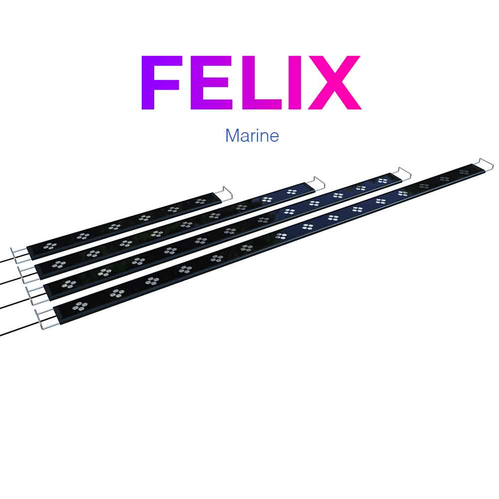 Micmol Felix 120 Marine Lampada Led Cree 60W da 120 a 140cm
