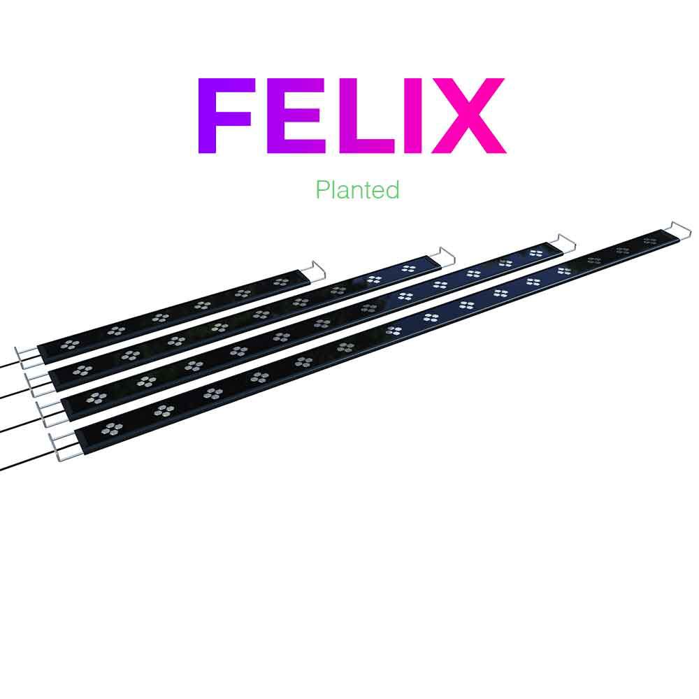 Micmol Felix 150 Planted Lampada Led Cree 75W da 150 a 170cm