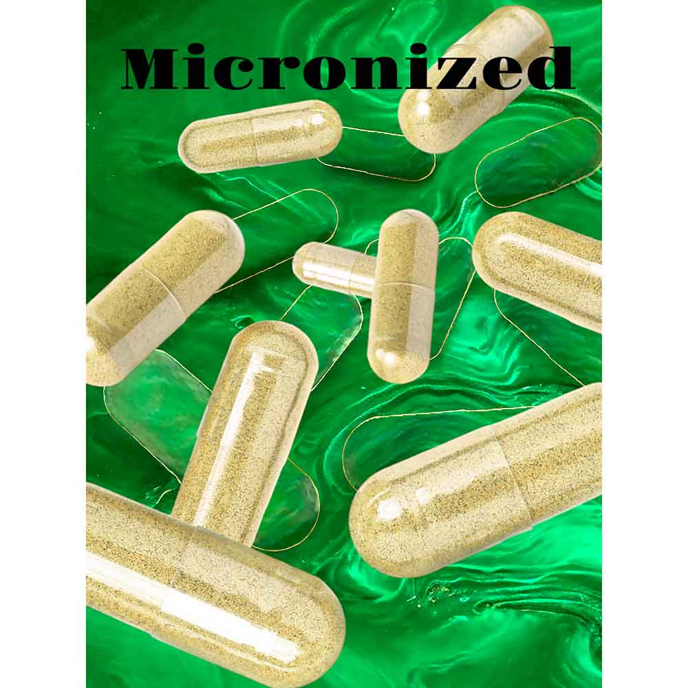 Planctontech Micronized Maturazione DSB microrganismi benefici 15 Capsule