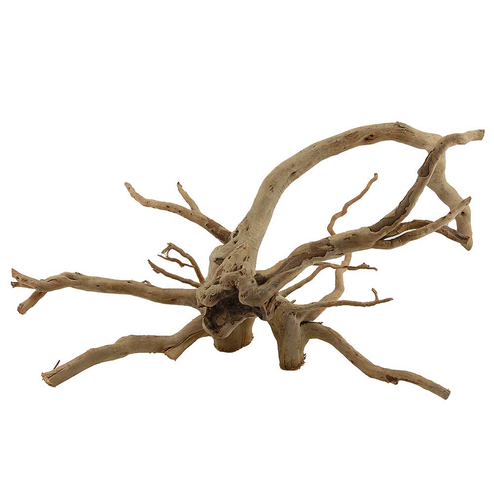 Legno Branch Wood 2027 con foto reale e misure 48x25x25h cm