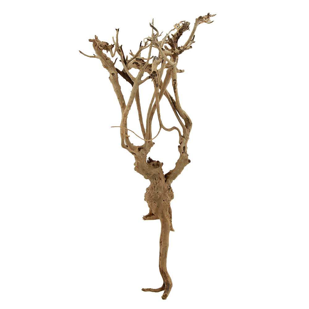 Legno Zen Aaron 7 con foto reale e misure 17x18x34h cm