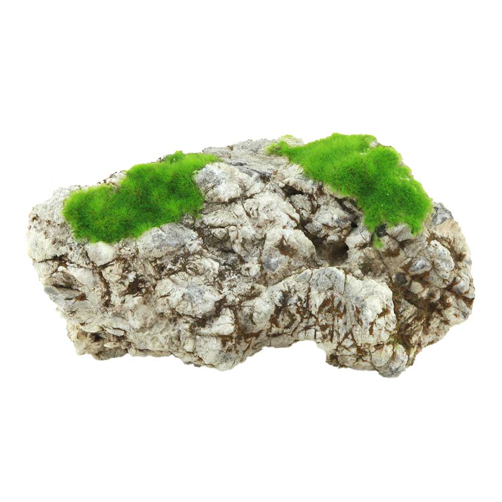Zolux Ki Pouss Roccia Grigia M4 con semi di Glossostigma foto reale e misure 17x9x8h cm