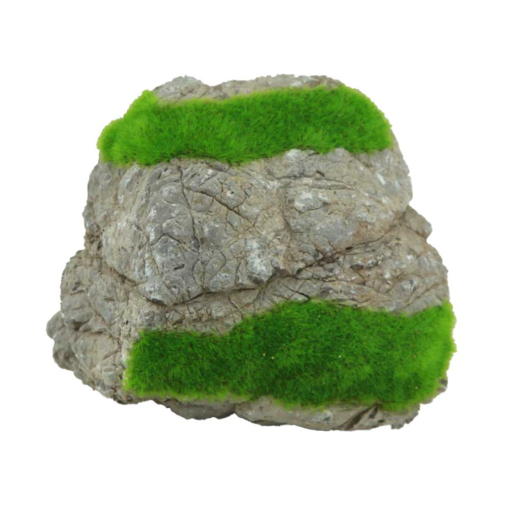 Zolux Ki Pouss Roccia Grigia S6 con semi di Glossostigma foto reale e misure 10x7x9h cm