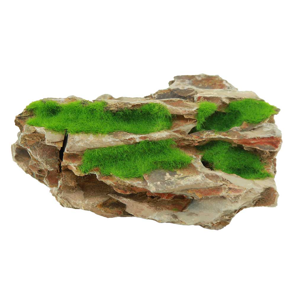 Zolux Ki Pouss Roccia Dragon S5 con semi di Glossostigma foto reale e misure 12x9x5h cm