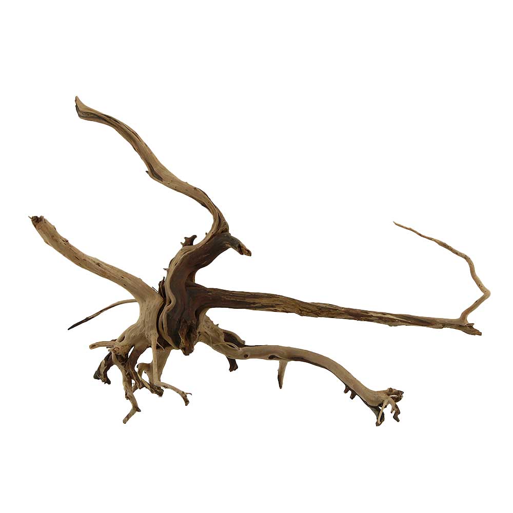 Legno Branch Wood 2063 con foto reale e misure 33x14x23h cm