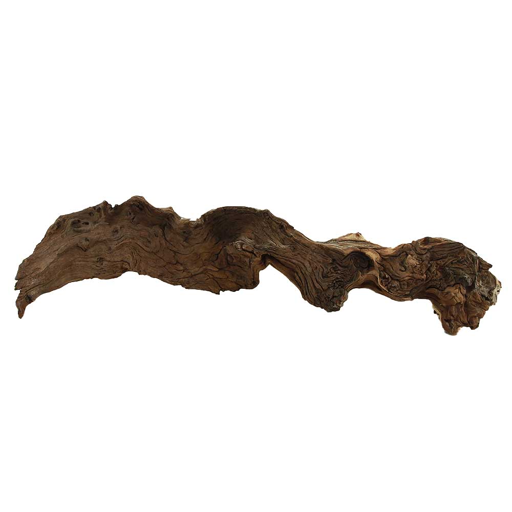 Legno Mopani 884 con Foto Reale e Misure 50x6x12h cm
