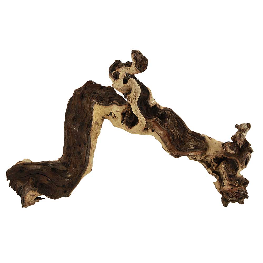 Legno Mopani 892 con Foto Reale e Misure 45x11x30h cm
