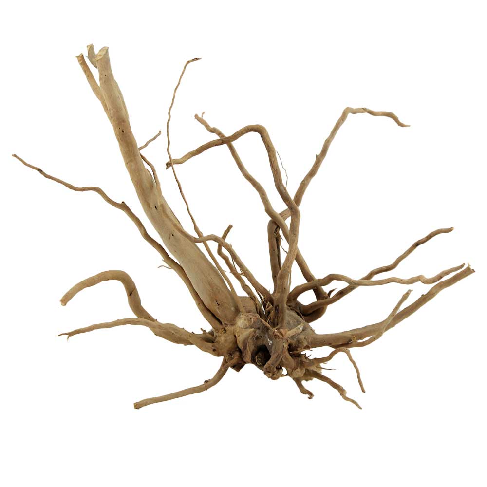 Legno Branch Wood 2069 con foto reale e misure 35x16x27h cm