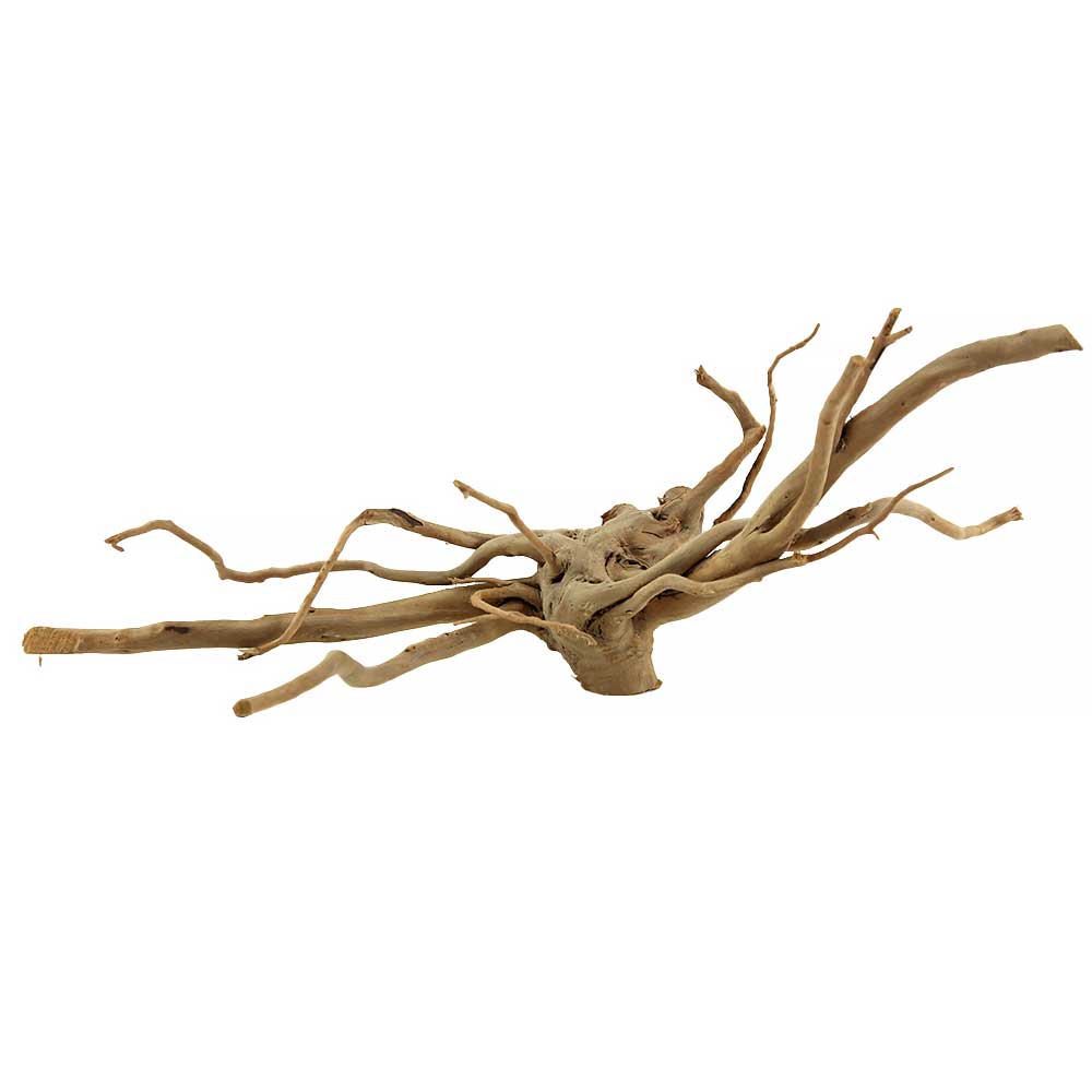 Legno Branch Wood 2074 con foto reale e misure 49x25x19h cm
