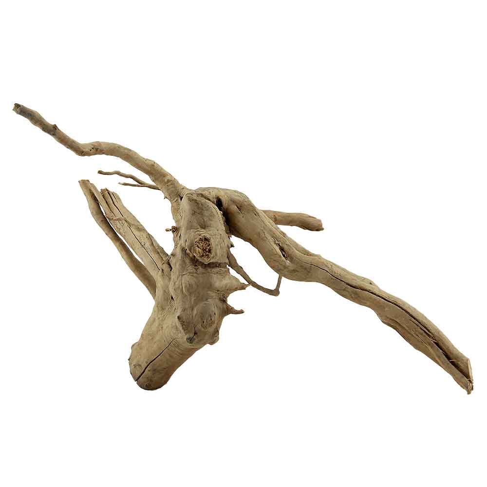 Legno Branch Wood 2128 con foto reale e misure 44x22x29h cm