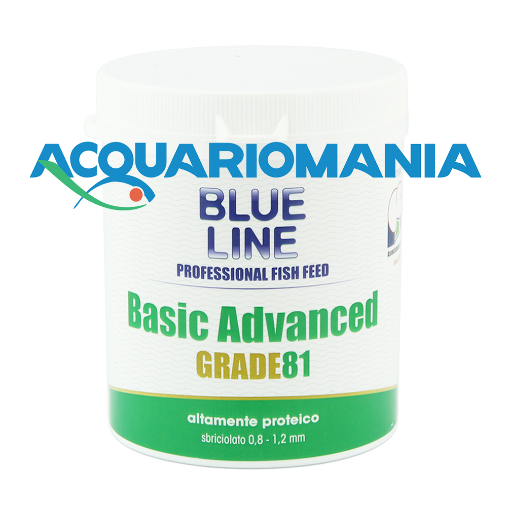 Blue Line Grade 81 Basic Advanced granulato affondante (0.8-1.2mm) 55g