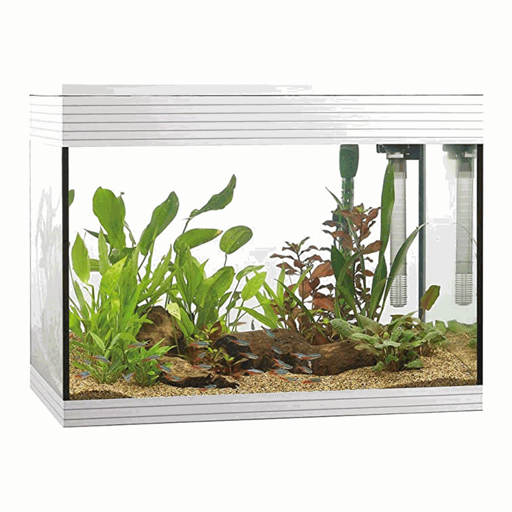 Askoll Acquario Pure LED L White 56x36x43,5h cm 68Lt