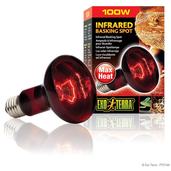 Exoterra Infrared Basking Spot Luce riscaldante ad Infrarossi 100W