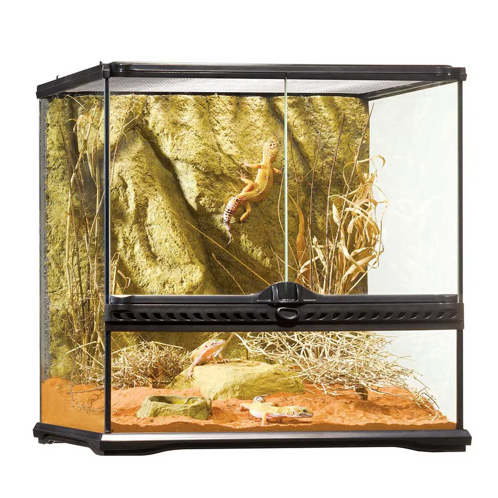 Exoterra Natural Terrarium Small Wide Terrario 45x45x45h cm