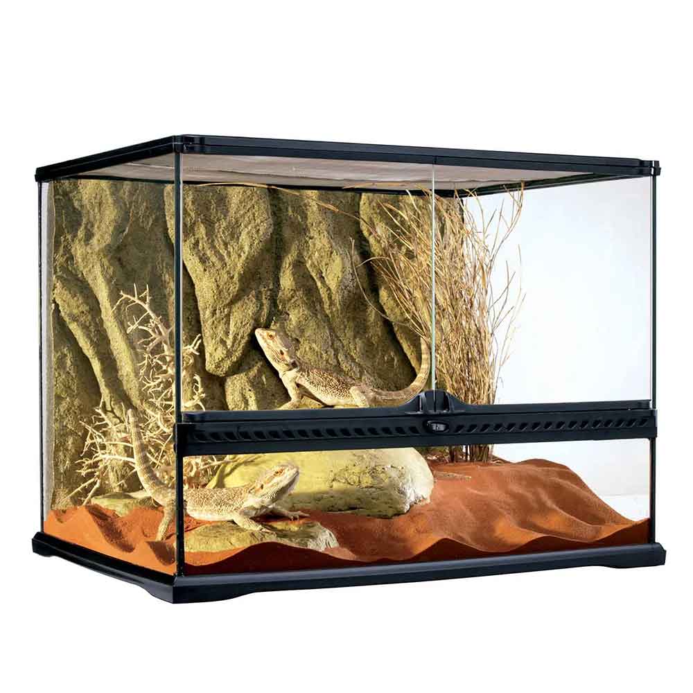 Exoterra Terrario Natural Terrarium Medium Wide 60x45x45cm