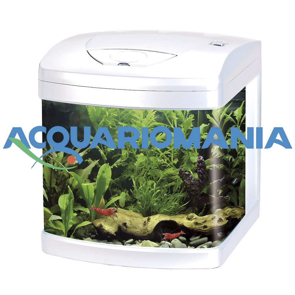Amtra Acquario Xcube 26 Led completo 26 Litri Bianco 31X32X37h cm