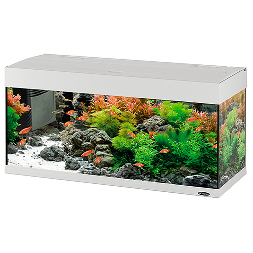 Ferplast Acquario Dubai 100 Led Bianco 101x41x h 53cm 190 l