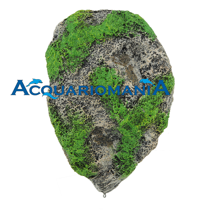 Wave Roccia Galleggiante L (Avatar) 18x12.5x7.5cm