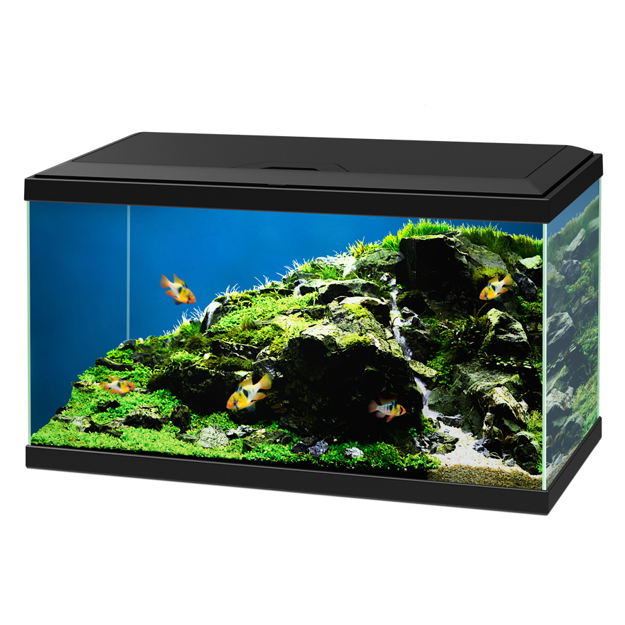 Ciano Aquarium Acquario Aqua 60 Nero 58 litri 60x30x32h cm